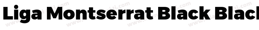 Liga Montserrat Black Black Italic字体转换